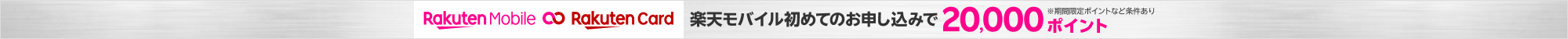 【楽天市場】吉村楽入 2024年新春作品 楽入窯製 黒楽茶碗：和風雑貨と有田みかん心斎橋花房